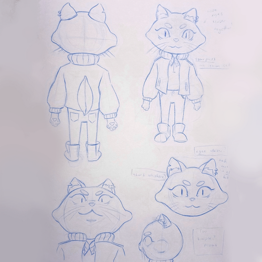Roughs 1 Roughs 1